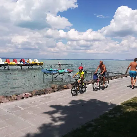 Apartment In Balaton 38094